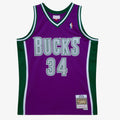 Ray Allen Milwaukee Bucks 2001-02 Swingman Jersey